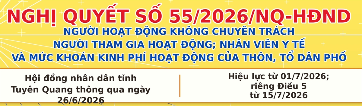 Quy định về người hoạt động không chuyên trách, người tham gia hoạt động, nhân viên y tế ở thôn, tổ dân phố và mức khoán kinh phí hoạt động của thôn, ...